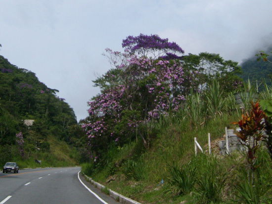 Auf dem Weg nach Sao Paulo.