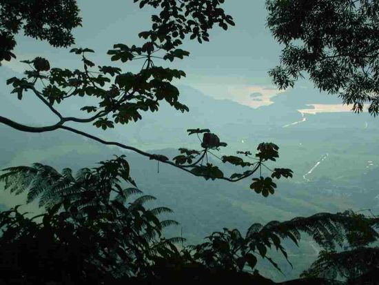 Durch laendliche Gegend nach Antras dos Reis.