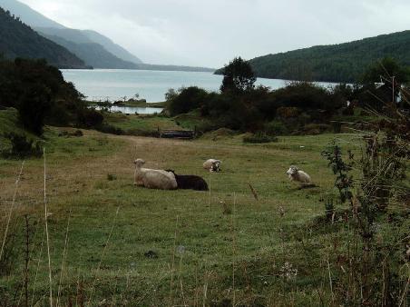 Puyuhuapi