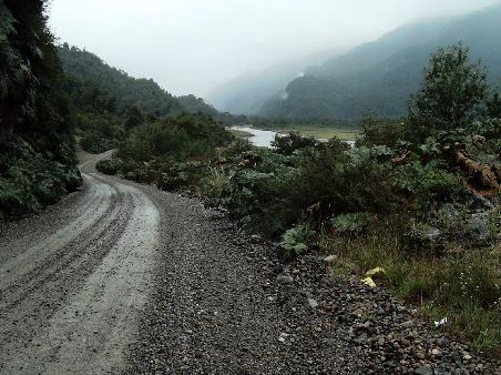 Regenwald durch den Nationalpark Queulat