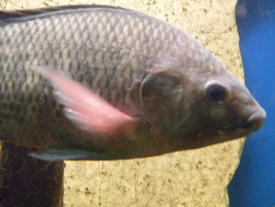 Davon gibt es viele.