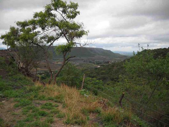 Von Guadalajara nach La Piedad.