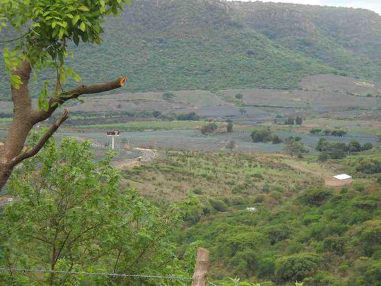 Von Guadalajara nach La Piedad. Im Tal das etwas seltsame Grün sind Agaven für den Mezcal.