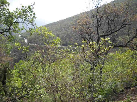 Von San Luis Potosi nach Rio Verde. Nicht neidisch werden.