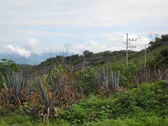 Mexikanische Leitplanken.