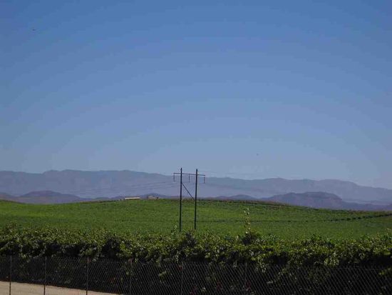 Weingegend in Mexiko.