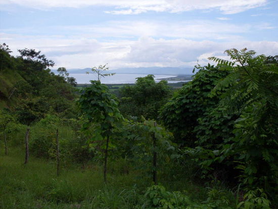 Auf dem Weg nach Tonosi.