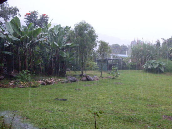 Blick vom Mexicaner bei Regen.
