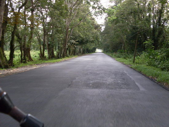 Auf dem Weg nach Cahuita