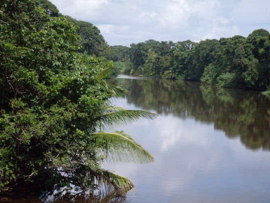 Rio vor Cahuita