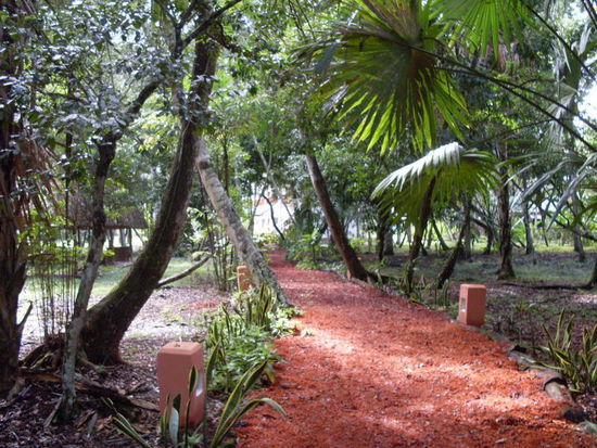 Tikal. Weg zu meinem Zimmer auf der Hotelanlage.