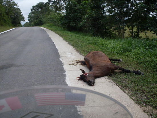 Auf dem Weg zur Grenze nach Belize