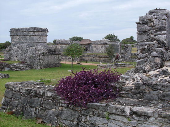 Mayaruinen von Tulum