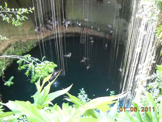 Cenote. Wasserloecher. Entstehen durch den Einbruch des Gesteins. Die Loecher sind 30 m tief und das Wasser nochmal 50 m.