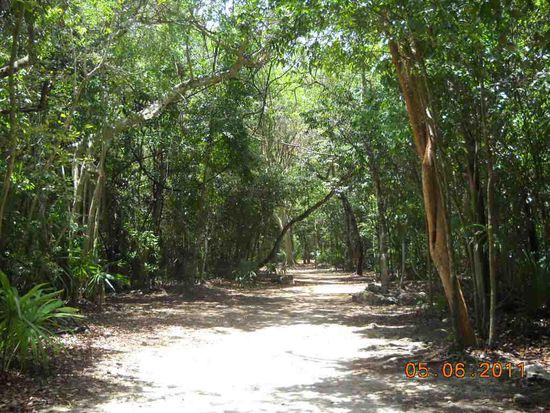 Man muß viel laufen in Coba.