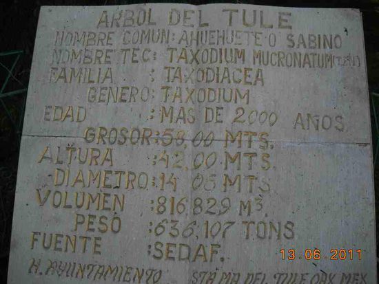 Altura = Höhe
Diametro = Durchmesser
Peso = Gewicht