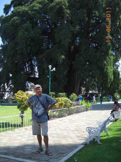 Im Vordergrund 64 Jahre und im Hintergrund 2000.