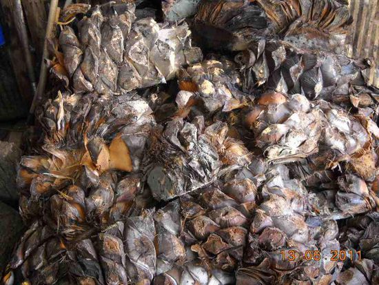 Das wurde zwei Tage gekocht.