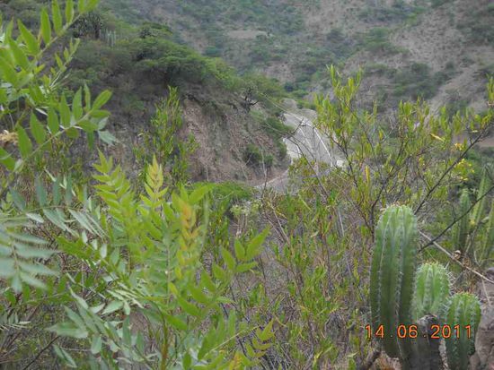 Von Oaxaca nach Tehuacan.