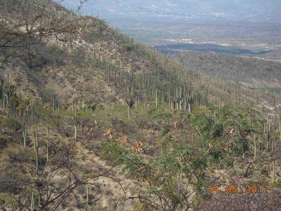 Von Oaxaca nach Tehuacan.