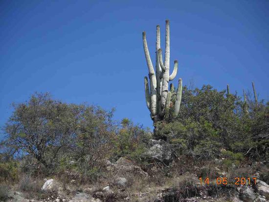 Von Oaxaca nach Tehuacan.