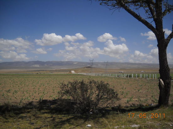 Auf dem Weg nach Puebla. Diese Tal liegt so um die 3.000 Meter hoch.