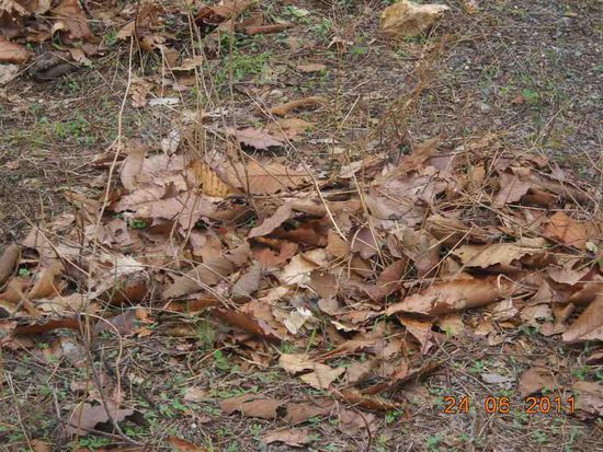 Deswegen ist es hier so kalt. Verdammt es ist Herbst.