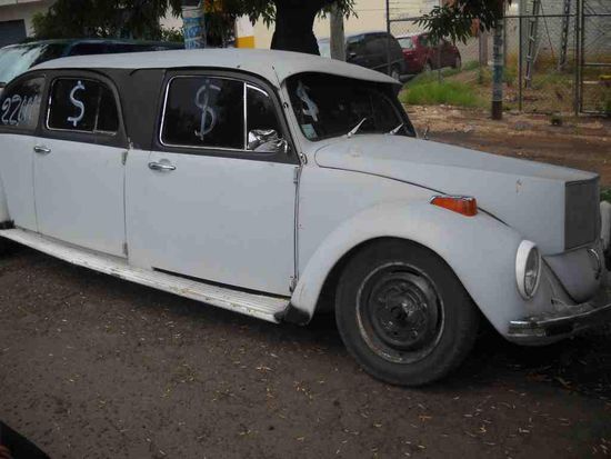 Ein Käfer etwas länger.