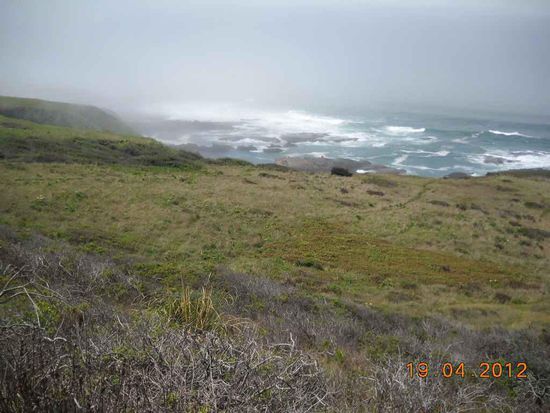 Die Küste am Highway Nr. 1