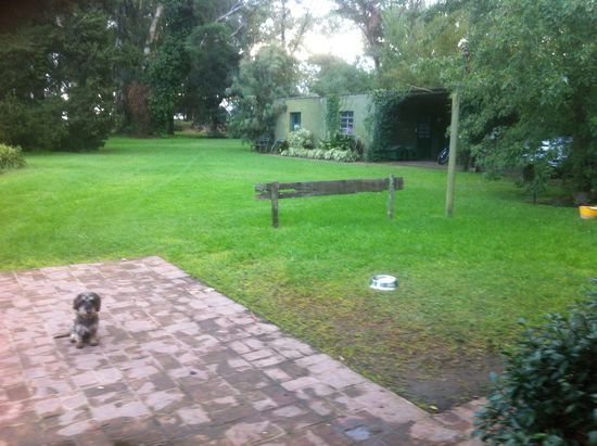 Der Wächter der Finka.