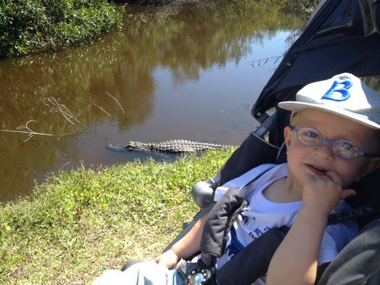 Die sind doch niedlich !