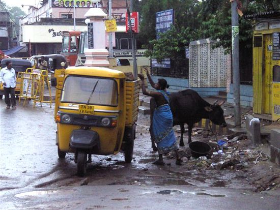 Madurai