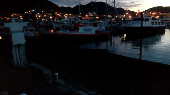 Picton, gute Nacht.