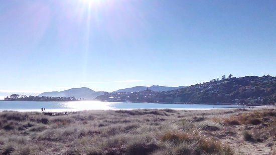 Morgens der Blick auf Nelson.