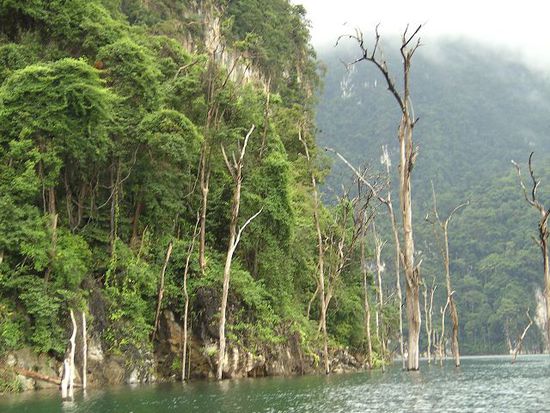 Kao Sok