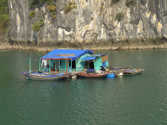 Halong Bucht, Austernzucht.