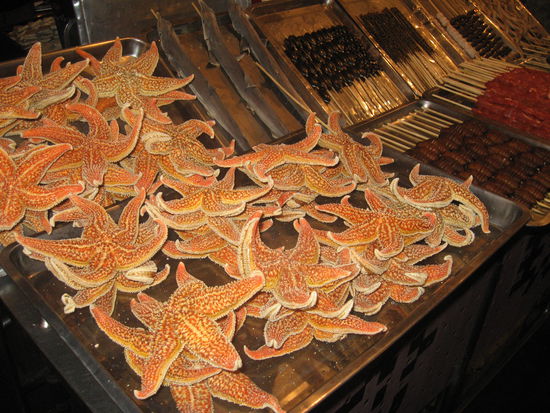 Eine kleine Auswahl der "Leckereien"