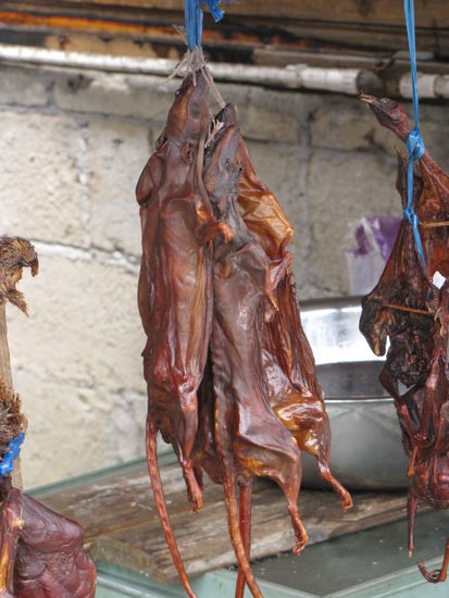 Ich hatte sowas früher als Haustier... *snief*