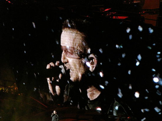 Kleiner und Großer Bono  (genau hinschauen!)