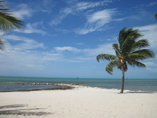 Stadtstrand von Key West