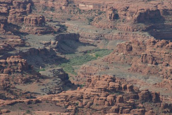 Ein grüner Schimmer in der sonst kargen Landschaft