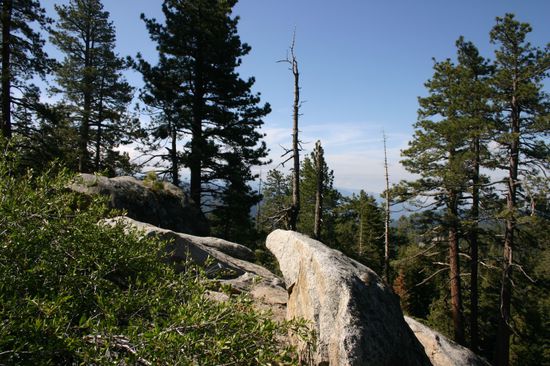 Granitfelsen im Seqouia NP