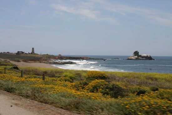 Leuchtturm und Vogelfelsen