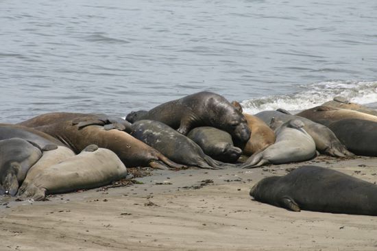 Wer liegt und kriecht hier über wen?