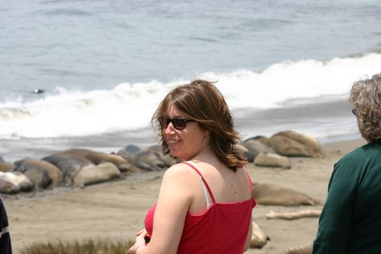 Sooooo schön (also die See-Elefanten) 