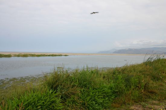 Am Strand vom McGrath State Beach