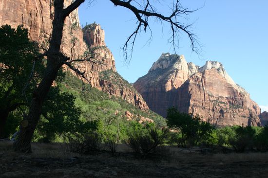 Auf Tour mit Ranger Tim durch den Zion NP