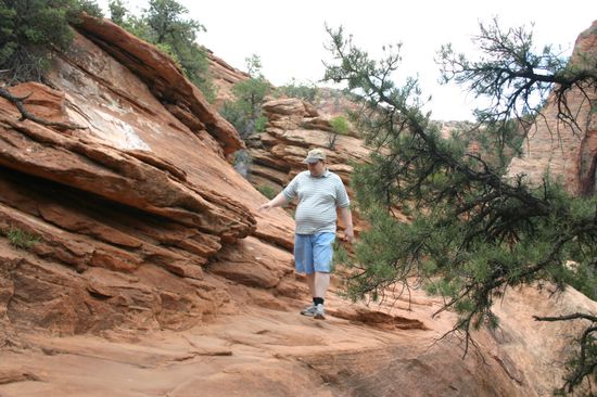 Canyon Overlook Trail