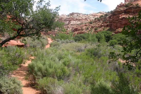 Noch liegen ein paar Meilen vor uns...