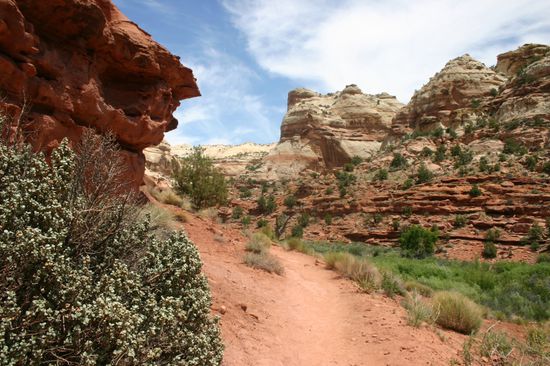 Der Weg führt hoch und runter...